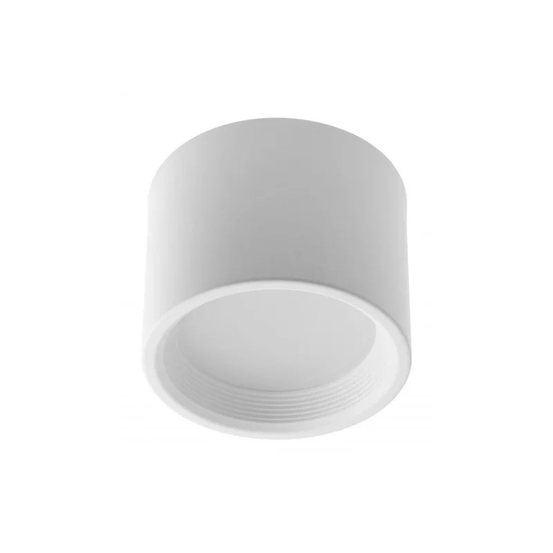 2026_06_11_318126
